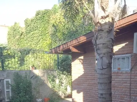 San Lorenzo 800