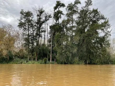 VENTA CAMPO SECCION I RIO PARANÁ Y CARABELAS IDEAL INVERSOR