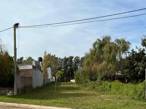 Terreno en Venta 12  mts Frente