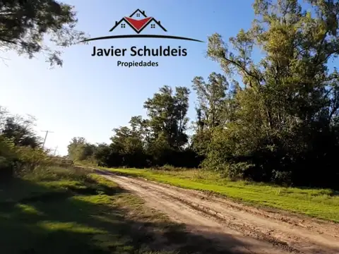 24 has agrícolas, con arboleda. Excelentes 