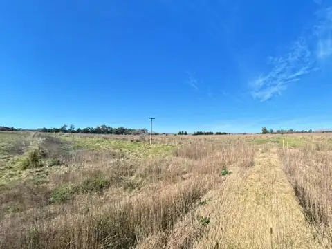 Ruta Provincial 41