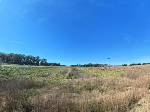 VENTA DE CAMPO