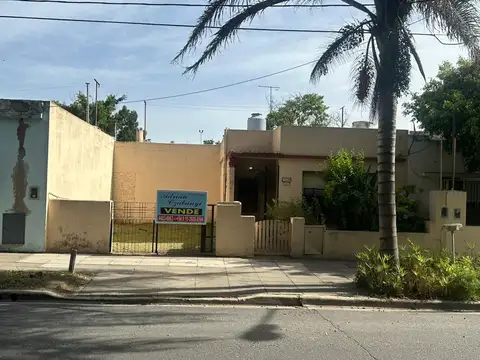 De Los Derechos Humanos 100