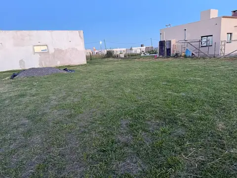EL TALA