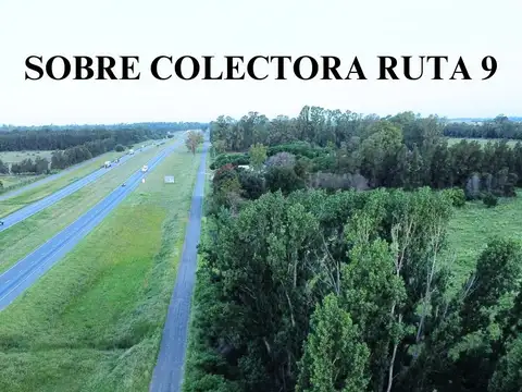 Campo 7,5 hectareas sobre ruta 9