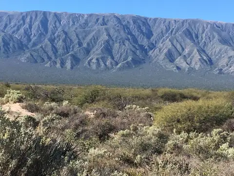 SE VENDE CAMPOS EN SAN MARTIN - CAPAYAN - RUTA 33