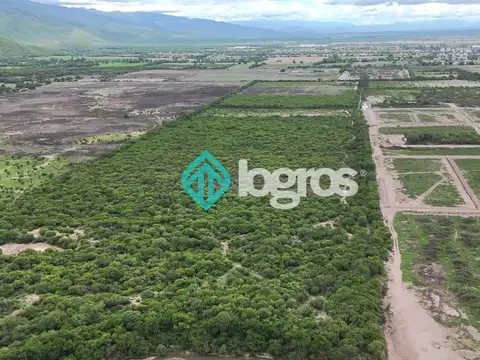 Terreno en Venta 1.450  mts Frente