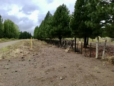 Precioso campo de 4 hectáreas, a tan solo 15 km de San Carlos de Bariloche.