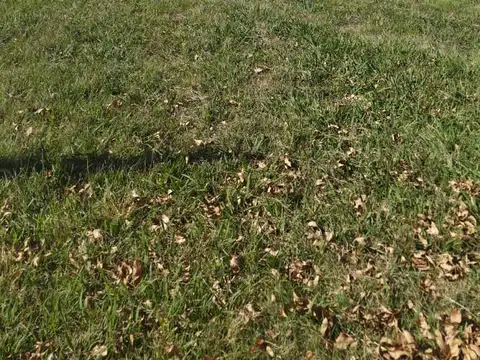 Terreno en Venta 54  mts Fondo