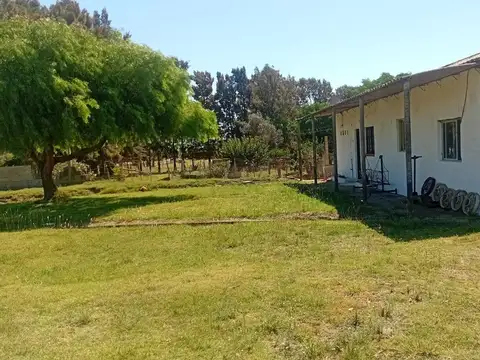 Ruta Interbalnearia General Líber Seregni 54000