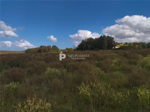 Campo en Venta Chacra