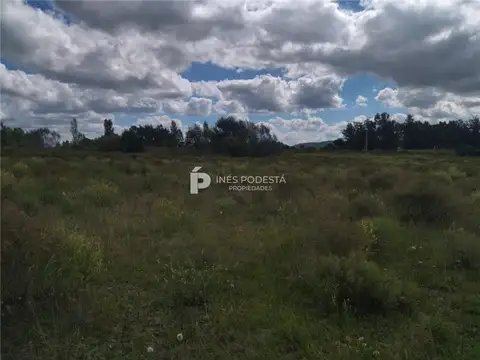 Campo en Venta de 5  ha