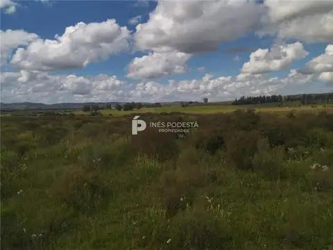 PROPIEDADES RURALES - CHACRA - PUEBLO EDÉN, PUNTA DEL ESTE