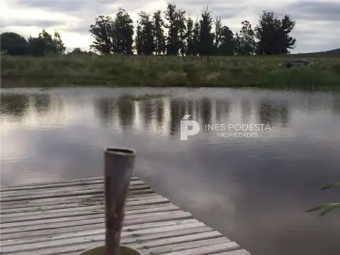 Campo en Venta de 5  ha