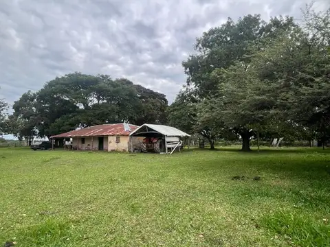 Campo en Venta de 1.134  ha