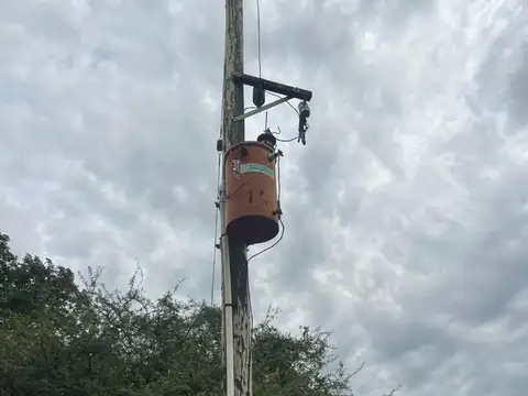 Campo en Venta Ganadero