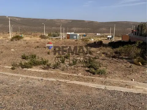 COOPERATIVA DEL GOLFO SAN JORGE