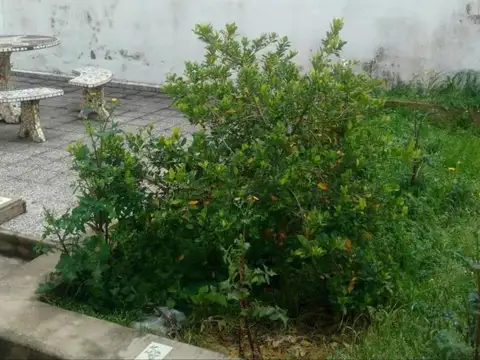 Calle 42 629