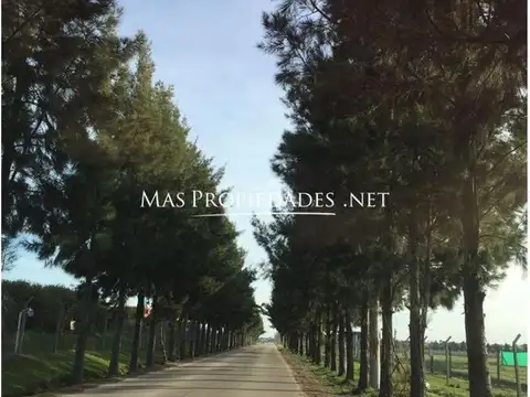 Terreno en Venta 30  mts Frente