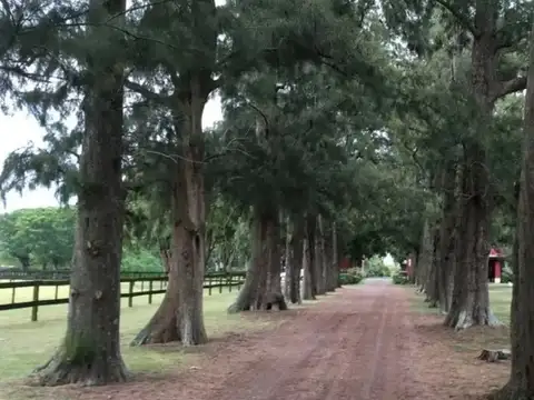 Terreno en Venta de 5000,0 m2