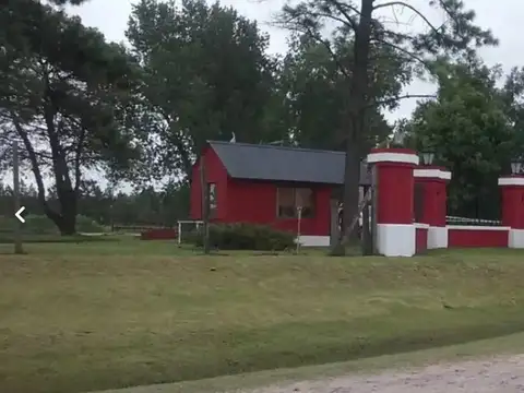 Haras El Malacate, Exaltación de la Cruz ..