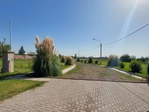 Terreno en Venta 33  mts Fondo