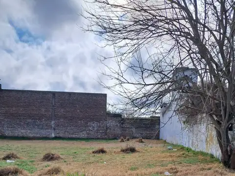 Aristóbulo del Valle 3300