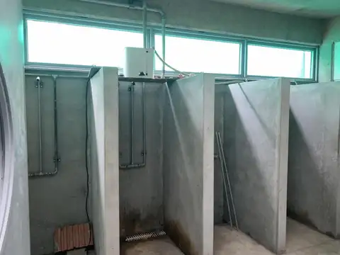 Depósito en  Alquiler o Venta en Ricardo Rojas