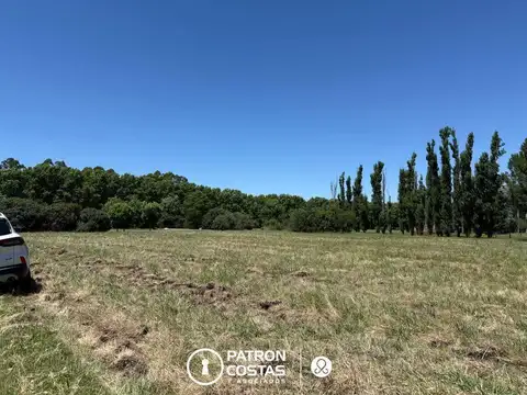 Terreno en Venta de 5000,0 m2