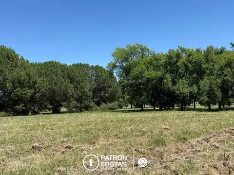 Terreno Residencial Lote en venta en La Colina