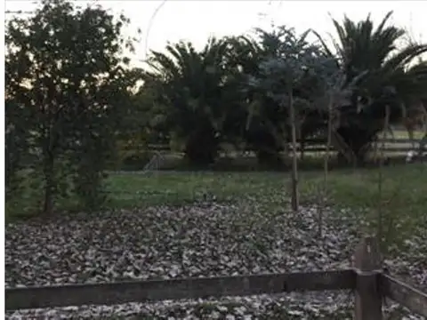 Campo en Venta