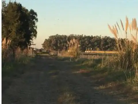 Camino Rural