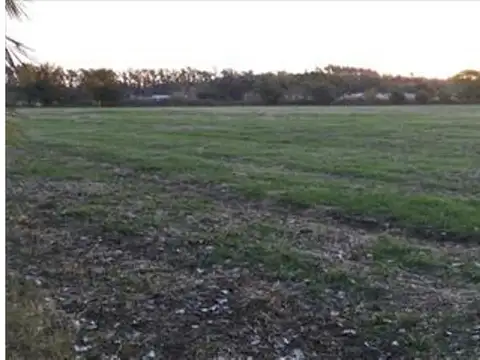 Camino Rural