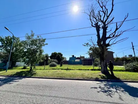 VENTA EXCELENTE TERRENO 225 M2 BARRIO LOS PINARES