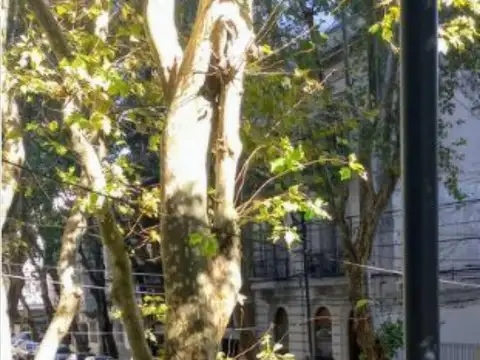 ALQUILER. RECOLETA: APTO PROFESIONAL. DOS AMBIENTES CON BALCÓN AL FRENTE Y EXCELENTE UBICACIÓN
