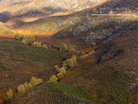 Finca en Los Arboles