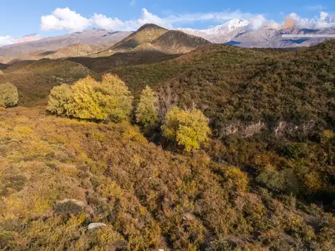 Campo en Venta de 200  ha