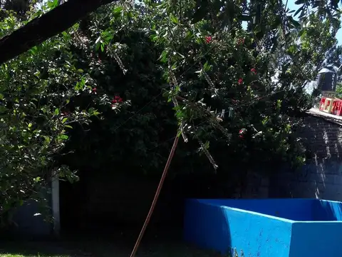 Donado y José Ingenieros