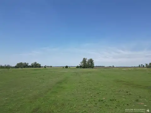 CAMPO EN SAN ANDRES DE GILES 100