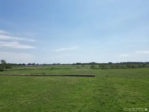 Campo en venta en San Andres de Giles