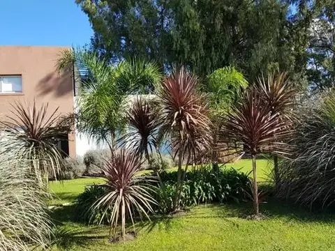 Casa en Venta en Arturo Segui, USD 240.000