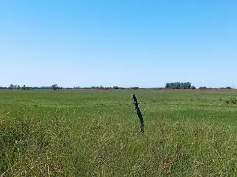 Campo Colonia Progreso (KM 58 de la ruta n° 27)  Bella Vista (Corrientes)