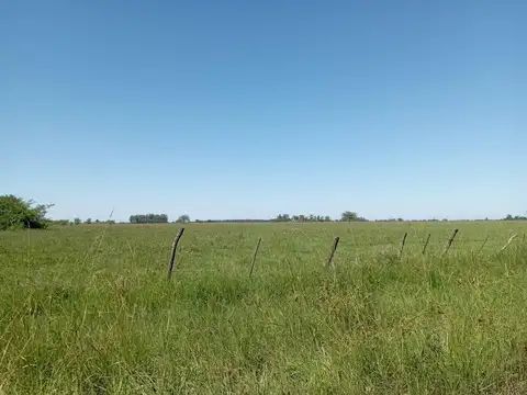Campo Colonia Progreso (KM 58 de la ruta n° 27)  Bella Vista (Corrientes)