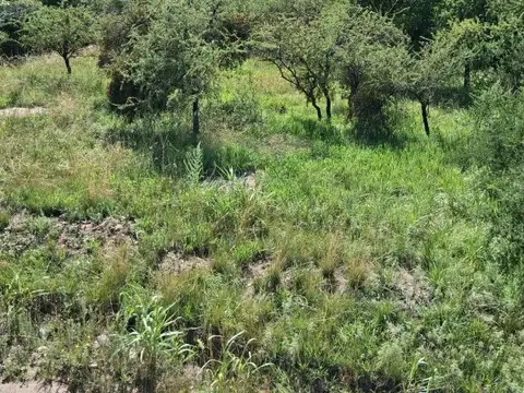 Terreno en Venta de 692,0 m2