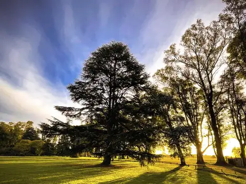 Lote a la venta en Chacras de San Andres