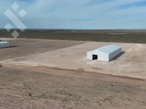Alquiler Galpón 1.000 m2 en 1 ha - RP 67 - Neuquén