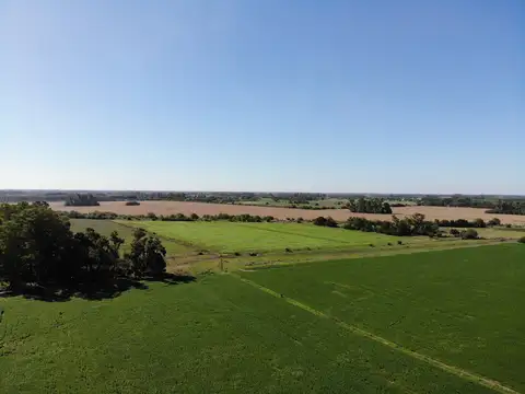 183 Has Capilla del Señor 100