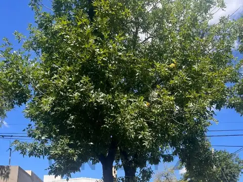 Oficina 3 ambientes con 1 baño