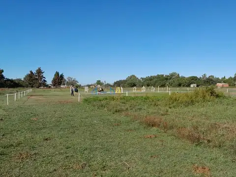 Avenida Campaña del Desierto y Coronel Baigorria
