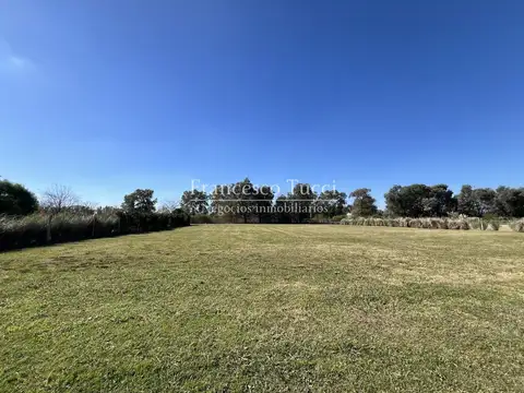 Terreno en San Roque